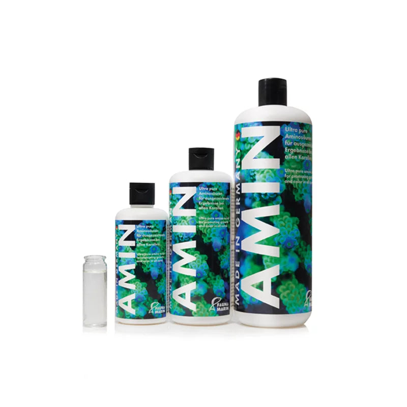 Fauna Marin - AMIN