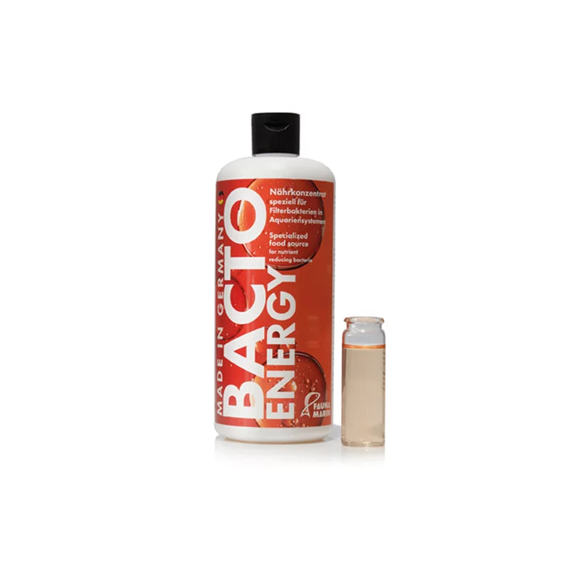 Fauna Marin - BACTO ENERGY
